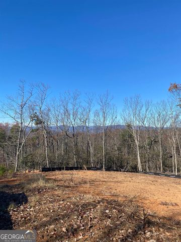 LOT 4 Lake View Drive, Cleveland, GA 30528