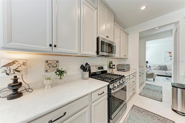 10010 BUCKMAN HALLS DRIVE, Palmetto, FL 34221