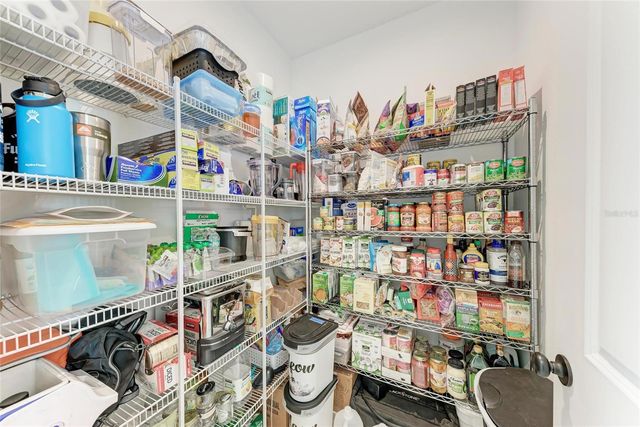 10010 BUCKMAN HALLS DRIVE, Palmetto, FL 34221