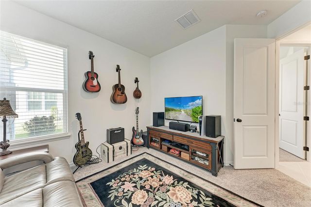 10010 BUCKMAN HALLS DRIVE, Palmetto, FL 34221