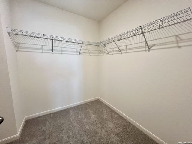 803 Dark Lark, Adkins, TX 78101
