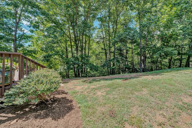1067 Archway RD, Blue Ridge, VA 24064