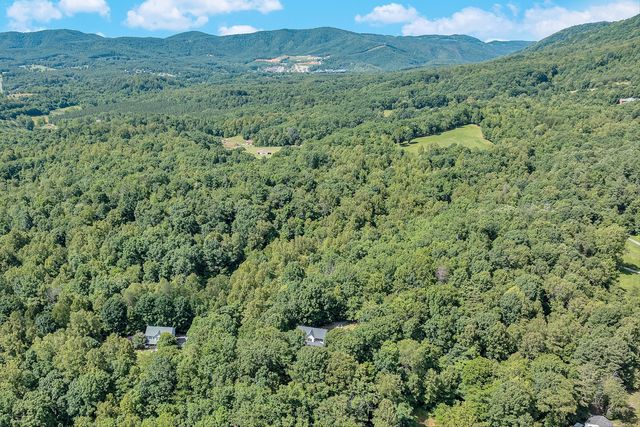 1067 Archway RD, Blue Ridge, VA 24064