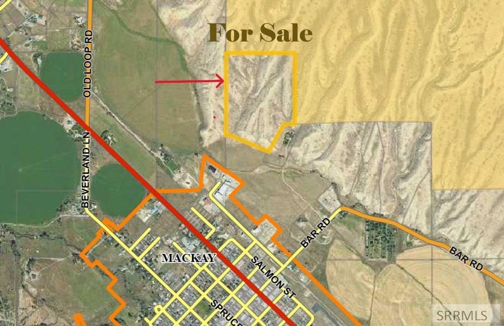 Image 2 of property listing at TBD Tbd, Mackay, ID 83251