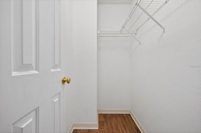 11047 BLACK SWAN COURT, Seffner, FL 33584