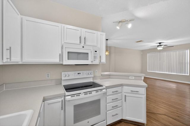 11047 BLACK SWAN COURT, Seffner, FL 33584