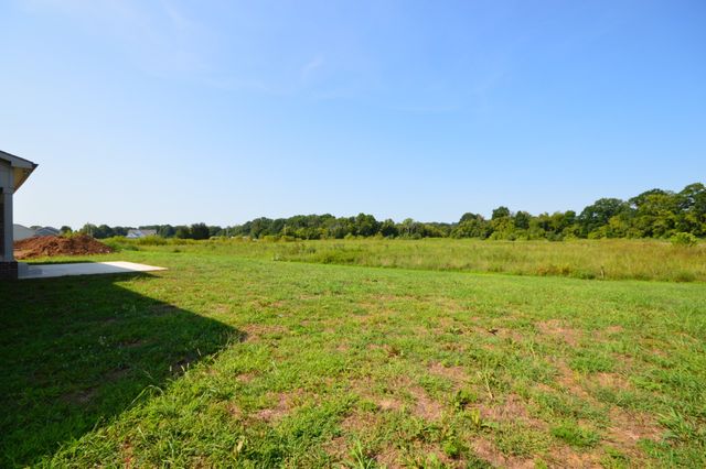 6223 Cedar Brooke Lane, Spring Hill, TN 37174