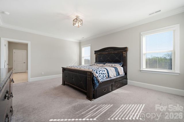 8920 Branch Brook Place, Huntersville, NC 28078