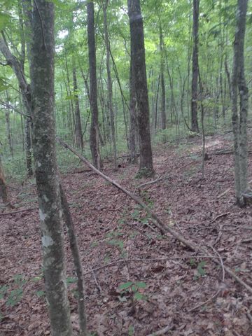 0 N of 60th Ave, S, Gruetli Laager, TN 37339