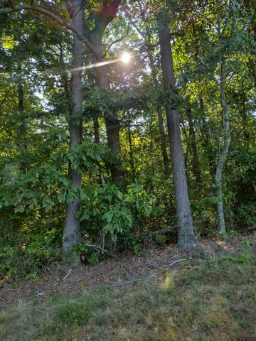 0 N of 60th Ave, S, Gruetli Laager, TN 37339