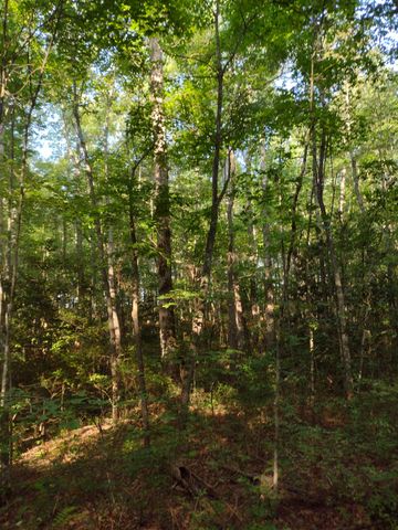 0 N of 60th Ave, S, Gruetli Laager, TN 37339