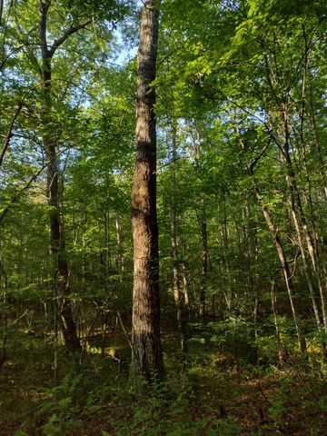 0 N of 60th Ave, S, Gruetli Laager, TN 37339