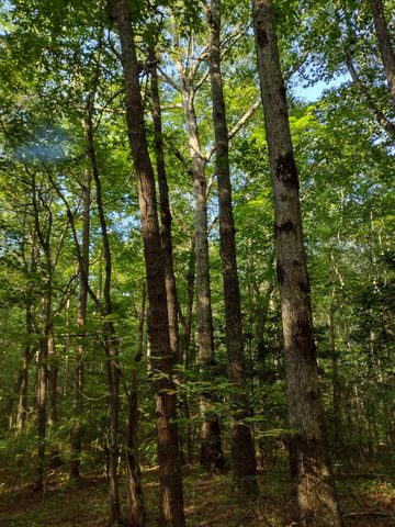 0 N of 60th Ave, S, Gruetli Laager, TN 37339