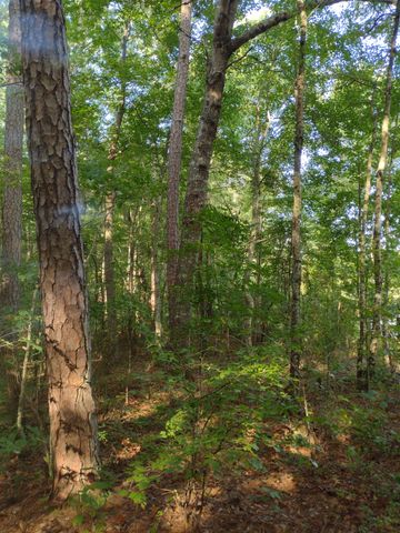 0 N of 60th Ave, S, Gruetli Laager, TN 37339