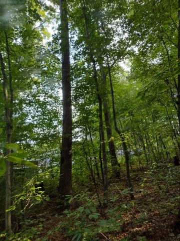 0 N of 60th Ave, S, Gruetli Laager, TN 37339