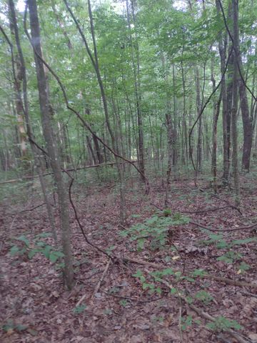 0 N of 60th Ave, S, Gruetli Laager, TN 37339