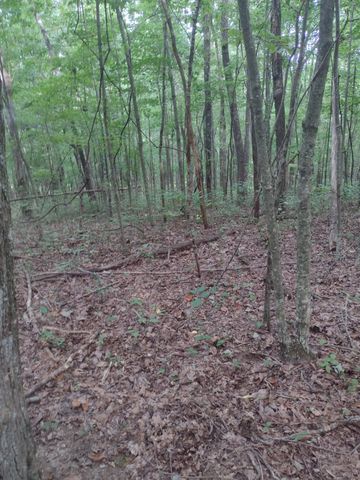 0 N of 60th Ave, S, Gruetli Laager, TN 37339