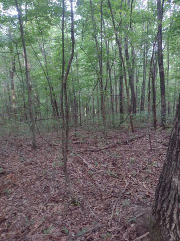0 N of 60th Ave, S, Gruetli Laager, TN 37339