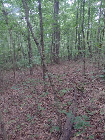 0 N of 60th Ave, S, Gruetli Laager, TN 37339