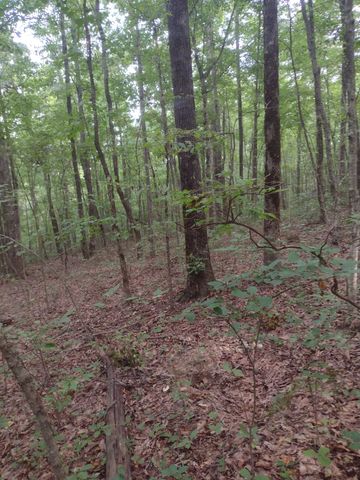 0 N of 60th Ave, S, Gruetli Laager, TN 37339