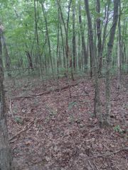 0 N of 60th Ave, S, Gruetli Laager, TN 37339