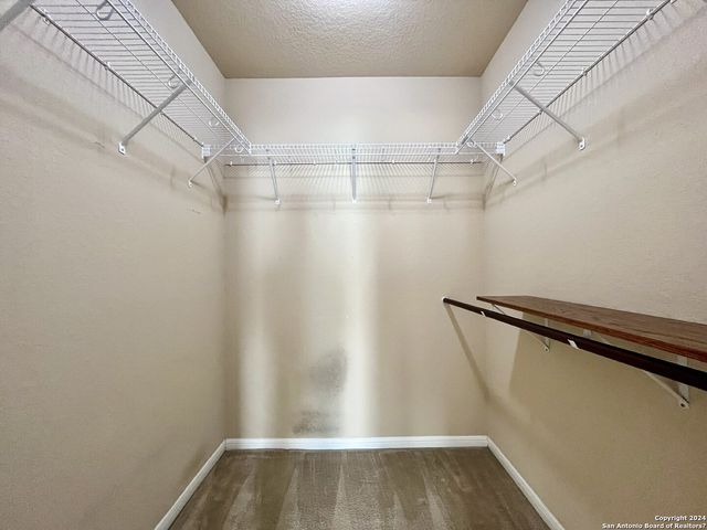 5117 Black Horse, Schertz, TX 78108