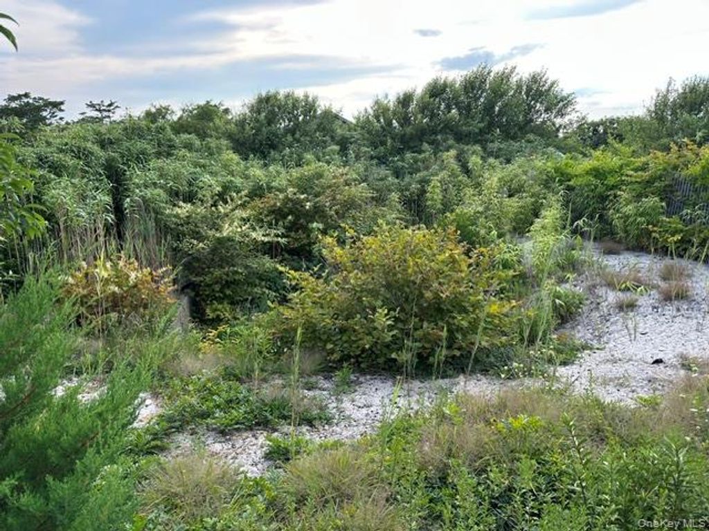 185 Holly Walk, Cherry Grove, NY 11782 — photo 3