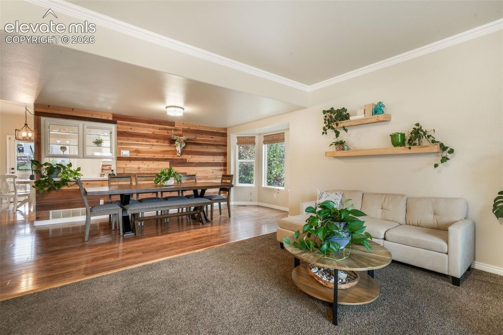 15523 Candle Creek Drive, Monument, CO 80132 — photo 4