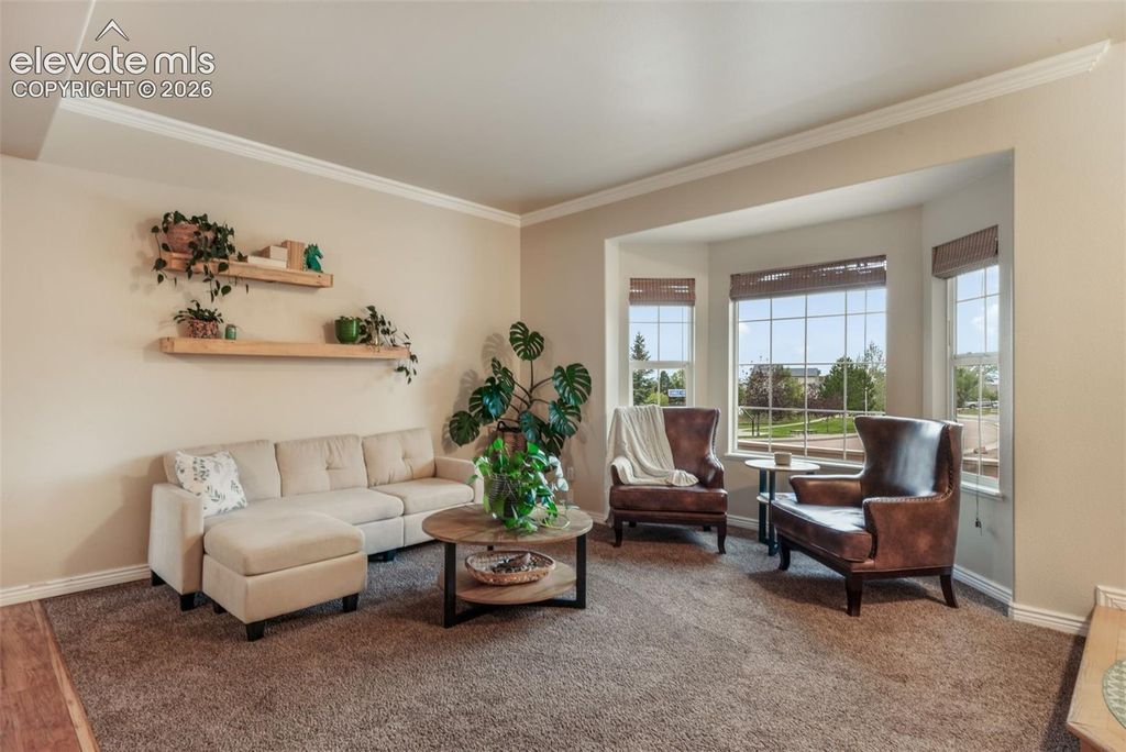 15523 Candle Creek Drive, Monument, CO 80132 — photo 5