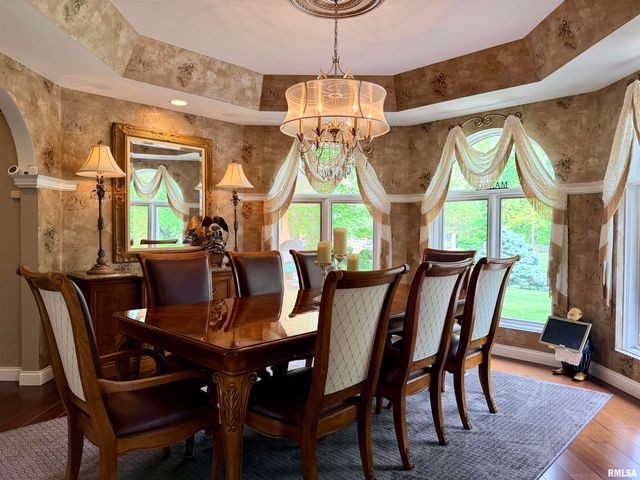 41 OAK RIDGE Point, Morton, IL 61550