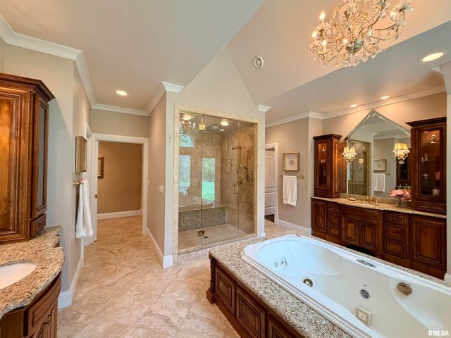 41 OAK RIDGE Point, Morton, IL 61550