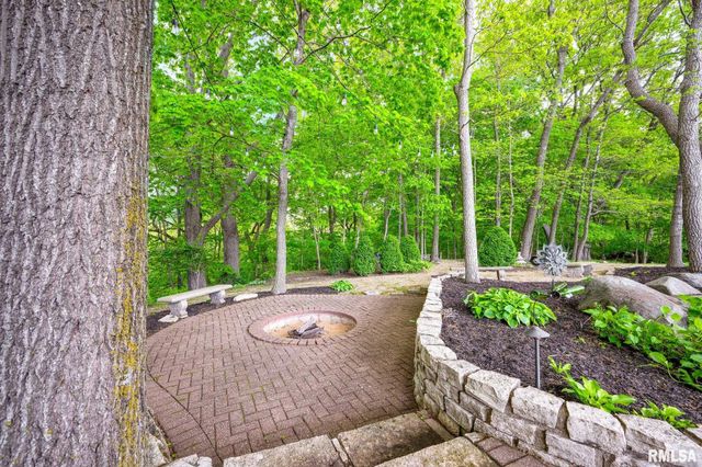 41 OAK RIDGE Point, Morton, IL 61550