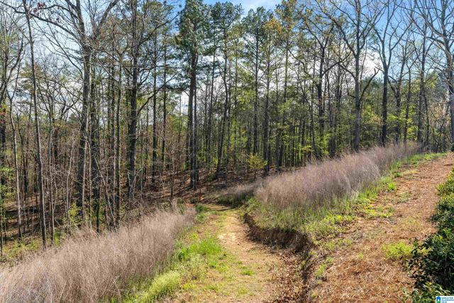 1734 COBURN STREET, Hoover, AL 35244