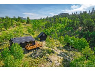 1391 Ute Trl, Como, CO 80432