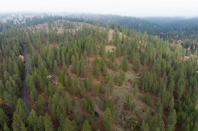 194XX Holcomb Rd, Mead, WA 99021