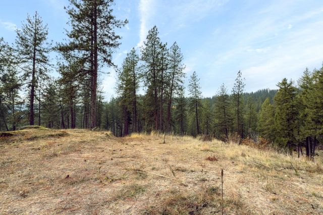 194XX Holcomb Rd, Mead, WA 99021