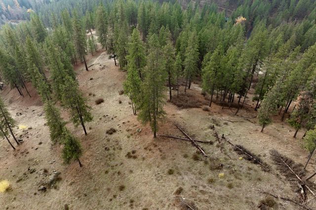 194XX Holcomb Rd, Mead, WA 99021