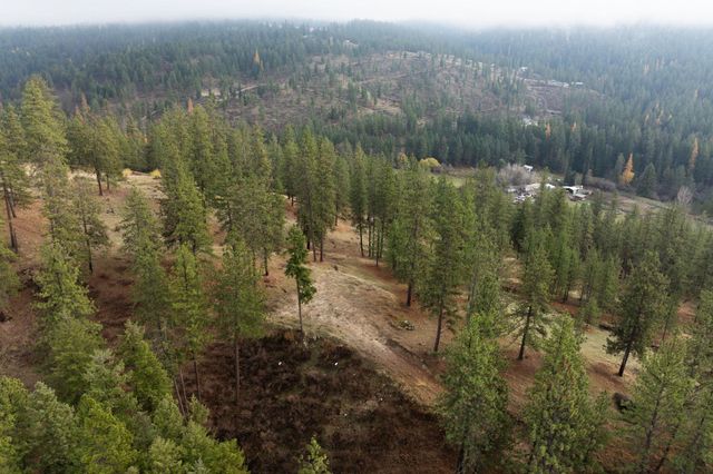 194XX Holcomb Rd, Mead, WA 99021