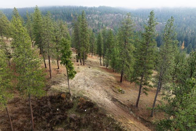 194XX Holcomb Rd, Mead, WA 99021