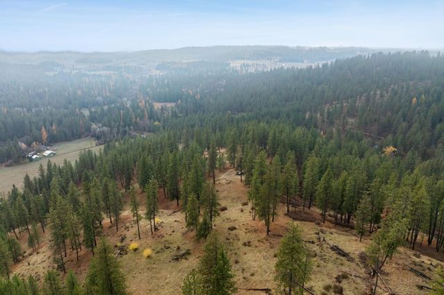 194XX Holcomb Rd, Mead, WA 99021