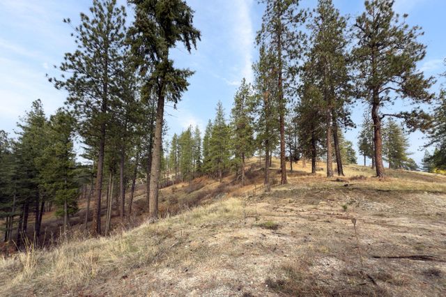 194XX Holcomb Rd, Mead, WA 99021