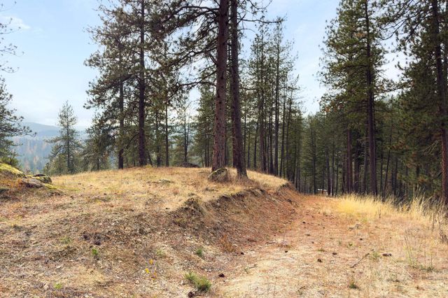 194XX Holcomb Rd, Mead, WA 99021