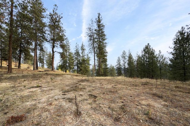 194XX Holcomb Rd, Mead, WA 99021