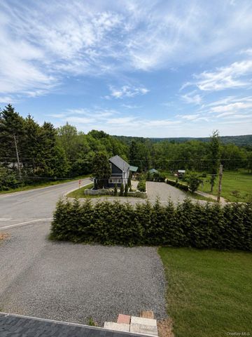 266 Lt Brender Hwy, Ferndale, NY 12734