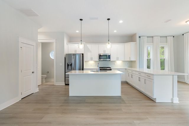 248 Euvino Way, Santa Rosa Beach, FL 32459