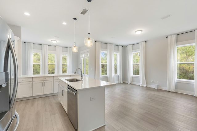248 Euvino Way, Santa Rosa Beach, FL 32459