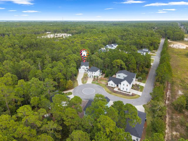 248 Euvino Way, Santa Rosa Beach, FL 32459