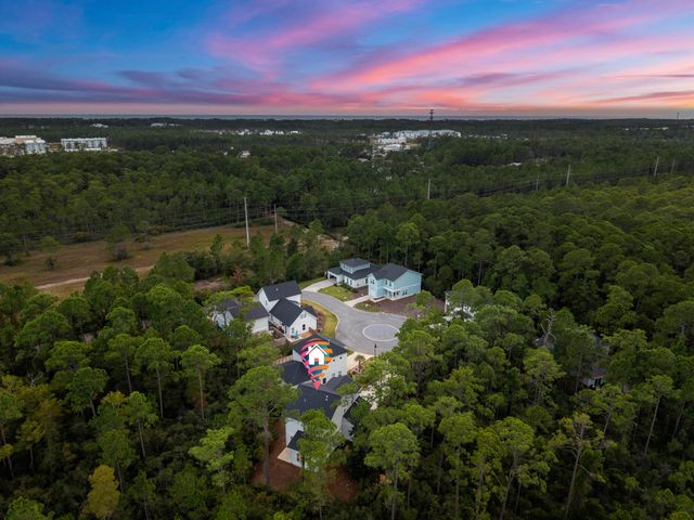 248 Euvino Way, Santa Rosa Beach, FL 32459