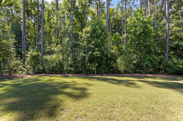 1134 Kane Blue Run, Summerville, SC 29485