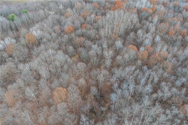 0 Kitch Rd at Linn Tyro Rd, Otter Creek Twp, PA 16125